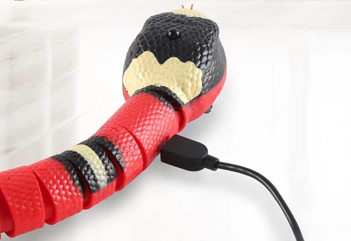 Magic Snake Smart Toy For Pets - Direct Ship Hub