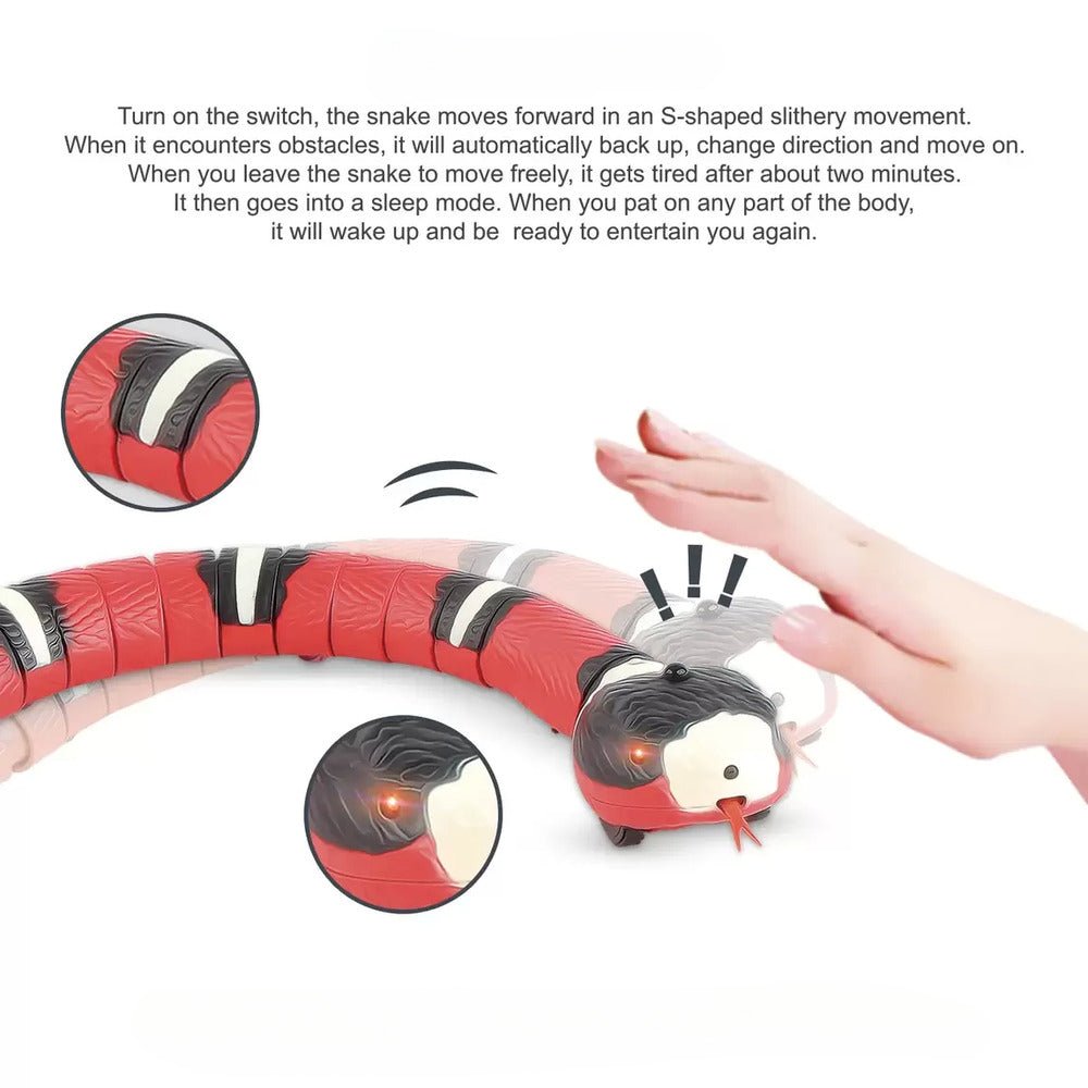 Magic Snake Smart Toy For Pets - Direct Ship Hub